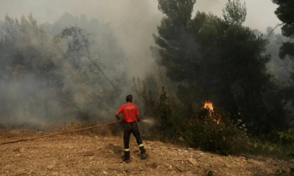 Τέθηκε υπό μερικό έλεγχο η φωτιά στην Ανατολική Μάνη